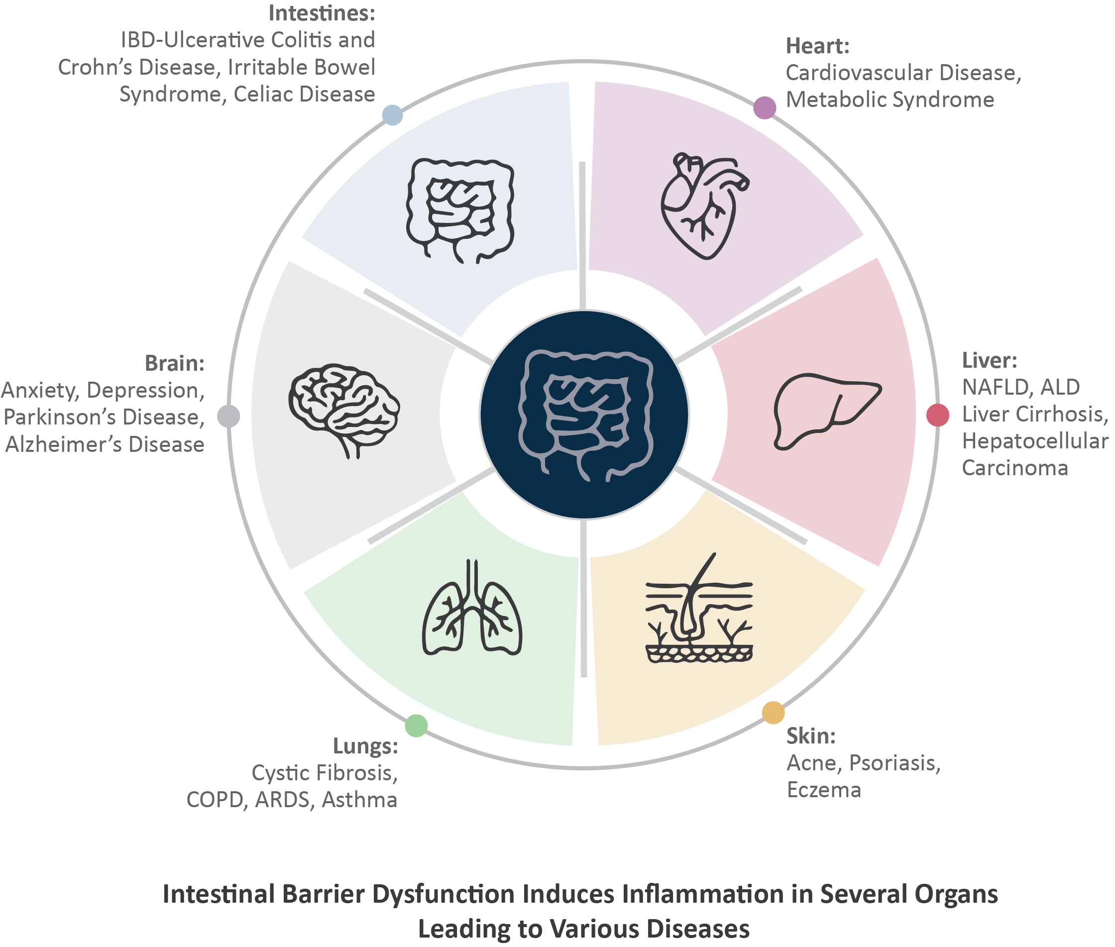 Unmet Need in Barrier Dysfunction Diseases