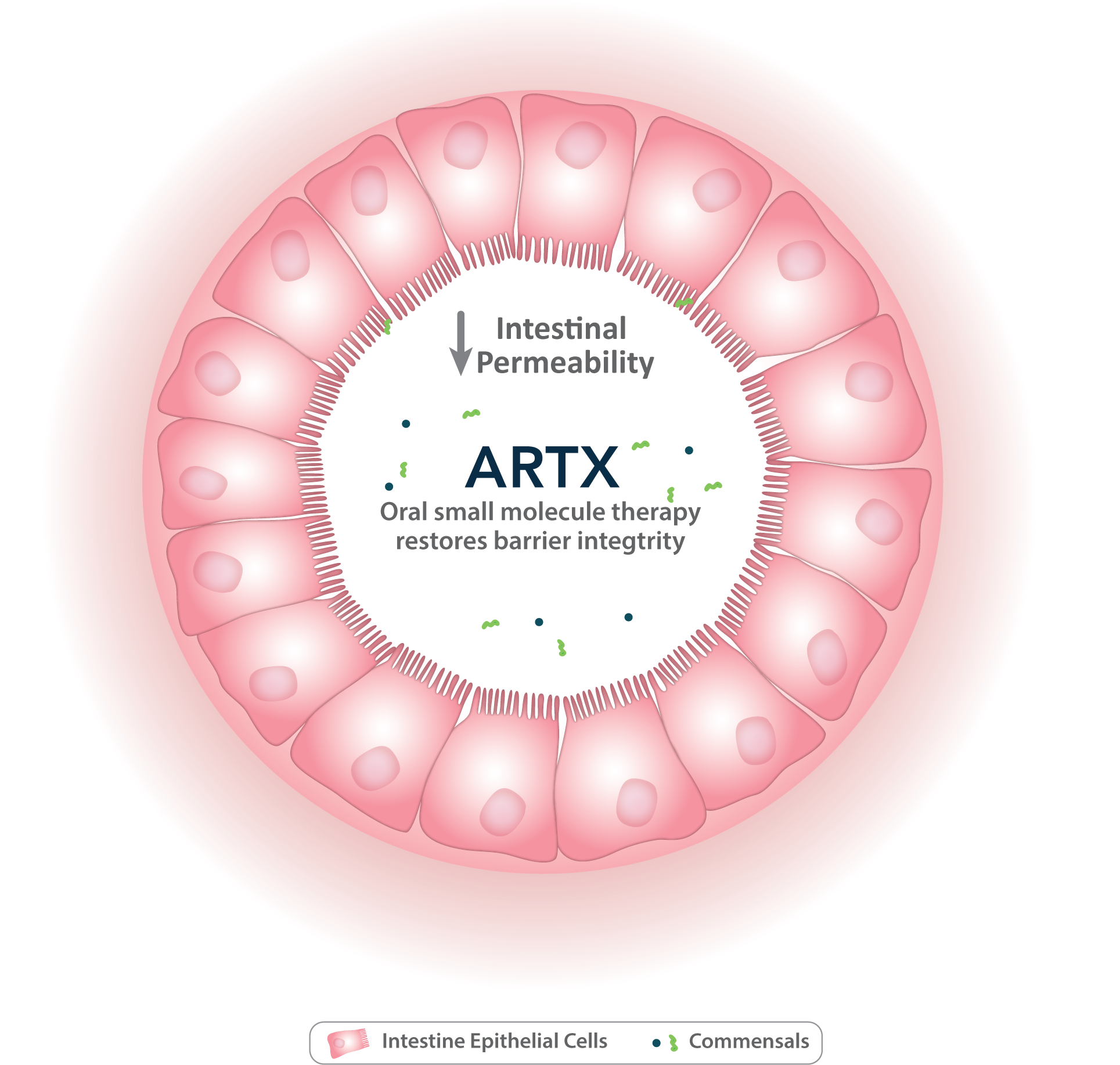 Artx Platform